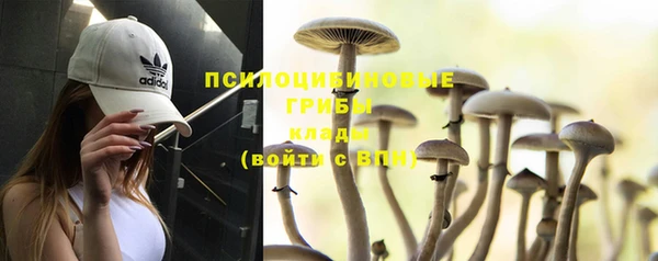 первитин Горняк