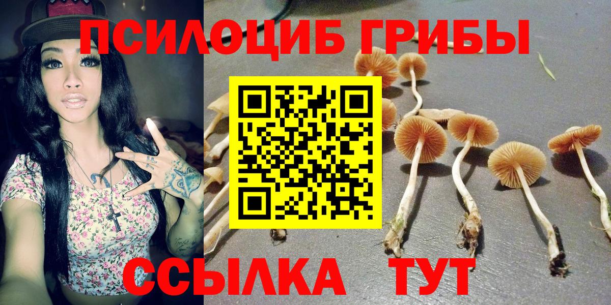Можга  Галлюциногенные грибы GOLDEN TEACHER  Вход с VPN  Галлюциногенные грибы MAGIC MUSHROOMS 