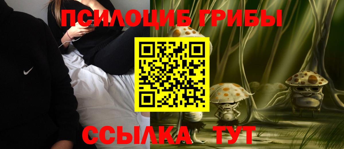 Галлюциногенные грибы ЛСД Можга